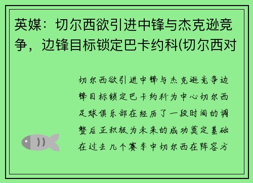 英媒：切尔西欲引进中锋与杰克逊竞争，边锋目标锁定巴卡约科(切尔西对标)