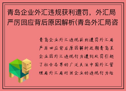 青岛企业外汇违规获利遭罚，外汇局严厉回应背后原因解析(青岛外汇局咨询电话)