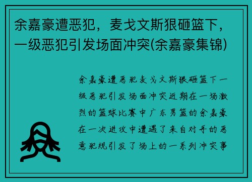 余嘉豪遭恶犯，麦戈文斯狠砸篮下，一级恶犯引发场面冲突(余嘉豪集锦)