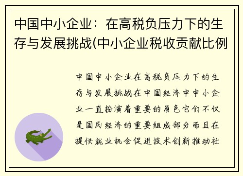中国中小企业：在高税负压力下的生存与发展挑战(中小企业税收贡献比例)