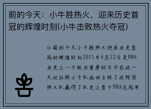前的今天：小牛胜热火，迎来历史首冠的辉煌时刻(小牛击败热火夺冠)