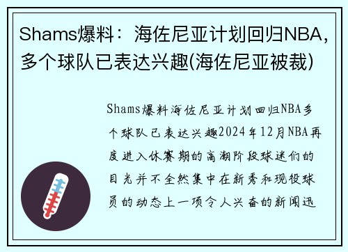 Shams爆料：海佐尼亚计划回归NBA，多个球队已表达兴趣(海佐尼亚被裁)