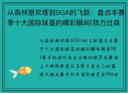从森林狼双塔到SGA的飞跃：盘点本赛季十大国际球星的精彩瞬间(效力过森林狼的球星)