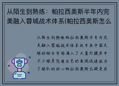 从陌生到熟练：帕拉西奥斯半年内完美融入蓉城战术体系(帕拉西奥斯怎么样)